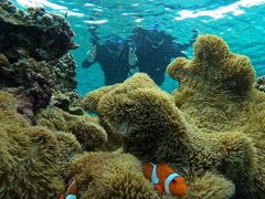 {Ó ADVENTURE PiPi̎ʐ^1