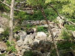 Ђ񂳂̃BgJ̓]ւ̓eʐ^1