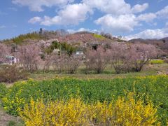 񂵂傤̉ԌRւ̓eʐ^1