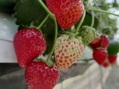 ҂̂Eu[x[_@x[̋ւ̓eʐ^1