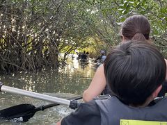 ؁[OHCUSΊ_ւ̓eʐ^1