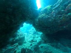 HR̐̓AJiT_CrOւ̓eʐ^1