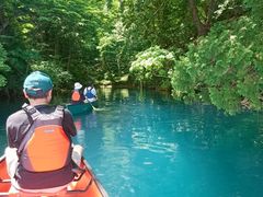 ڂ񂳂̃BgJ̓]ւ̓eʐ^1