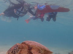 ₩imtida{Óւ̓eʐ^1