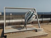 񂳂̋`̉w TOTOCOc̓eʐ^2