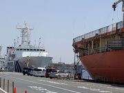 |R̎Oڂ̓ɊϑDSHIRASE5002̓eʐ^2