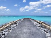 asano����̓����C�݂̓��e�ʐ^1