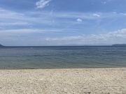 hassi8484̂͂̉Ƃ̓eʐ^20