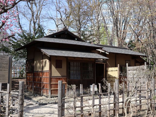 ���{�뉀�́u�������v�B
���͌��w�ł��Ȃ����A�O�ς����ł������B_��������