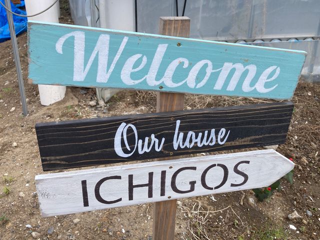 ichigos yokohama - �C�`�S�X���l_ichigos Yokohama-�C�`�S�X���l