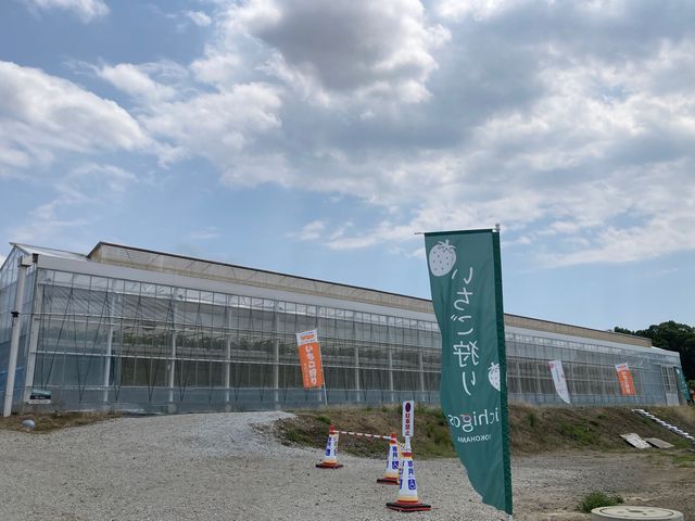 ichigos yokohama - �C�`�S�X���l_ichigos Yokohama-�C�`�S�X���l