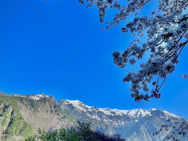 �k�A���v�X�勴_�k�A���v�X�勴