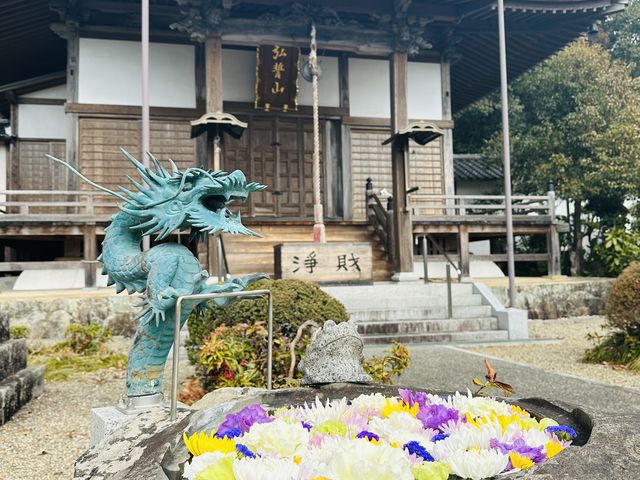 �s�[�i�c����̊ω����̓��e�ʐ^3