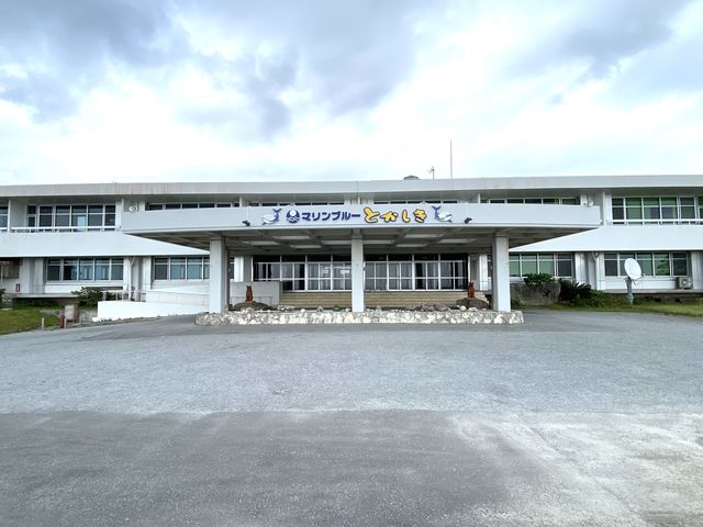 W]iN𗬂̉ƕ~nj_N𗬂̉