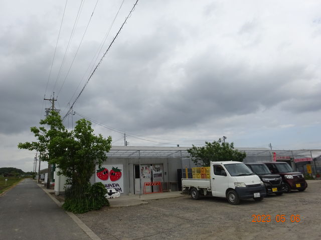 t炵ĒՂς
̗nEXł_Vc_