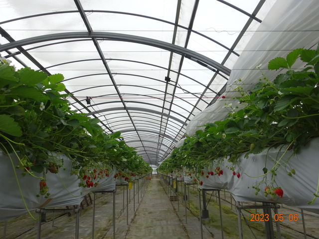 AƂ܂ł͌܂񂪁A傫̂A\ɖł܂_Vc_