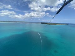 ̃pZ[O@u[zkւ̓eʐ^1