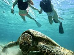 ݂񂳂̃I[X[Vm[P{Óւ̓eʐ^1