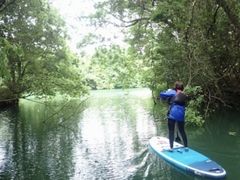 Ƃ񂳂̃OfbNX҃x[Xւ̓eʐ^1