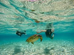 Ё[񂳂̃I[X[Vm[P{Óւ̓eʐ^1