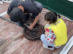 VόCJEHb`O htBN[Y̎ʐ^1