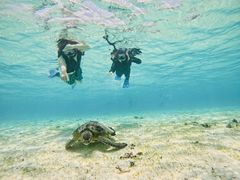 Ƃ̃I[X[Vm[P{Óւ̓eʐ^1