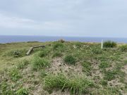 �Ðh�F����̃}�n�i�W�]��̓��e�ʐ^2