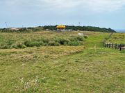 �Ðh�F����̃}�n�i�W�]��̓��e�ʐ^3