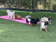 ^CK[̋vJGRAND̓eʐ^2