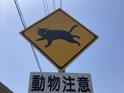 Ƃ񂳂̃yLӂ̓HW̓eʐ^1