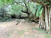 ÐhF̐ԘpuEuLv̓eʐ^1