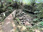 ÐhF̐ԘpuEuLv̓eʐ^2