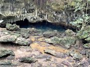 ÐhF̐ԘpuEuLv̓eʐ^3