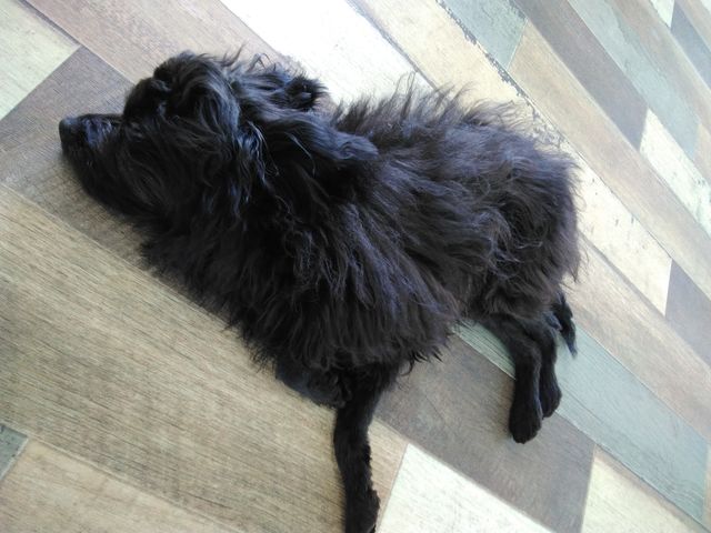 ���났_���J�t�F�@�L�J�t�F�@�͂��イ�ރJ�t�F�@�A�j�}���J�t�FMILK