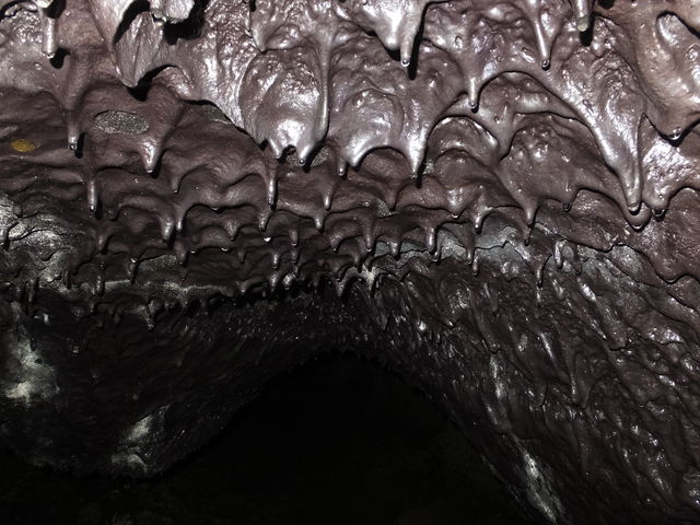 A_ Mt.Fuji Nature Travel