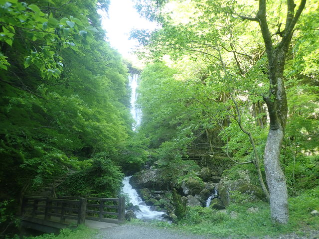 �}�C�a�n�n����̐_��̑�̓��e�ʐ^1