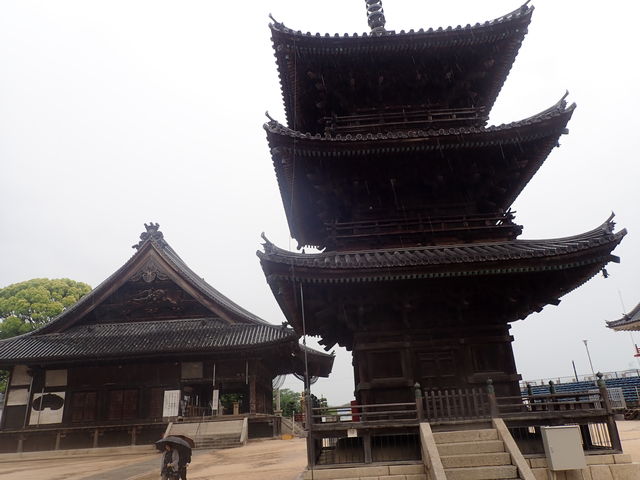 }Cann̐厛iω@j̓eʐ^1