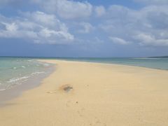 ppMarineSportsSUIRENւ̓eʐ^2