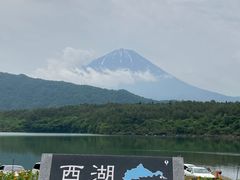 �Ђ낳��̐��΁i�̌��ό��j�ւ̓��e�ʐ^1