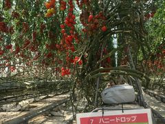 rurůЁ@og}g_ւ̓eʐ^1