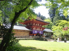 }Cann̒Os䔄_Ђւ̓eʐ^1