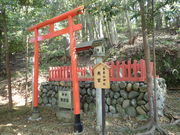 }Cann̕󗈎R_Ђ̓eʐ^1