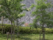 Tv̂Ƃ내TN^E̓eʐ^4