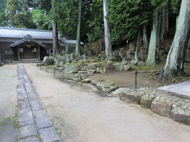 �����_��