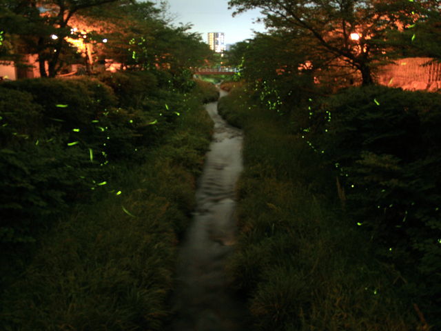 ��ɂ͕��s�җp�̋�������̂Ő�̐^�񒆂Ńz�^���Ϗ܂��ł��܂�_��̍��