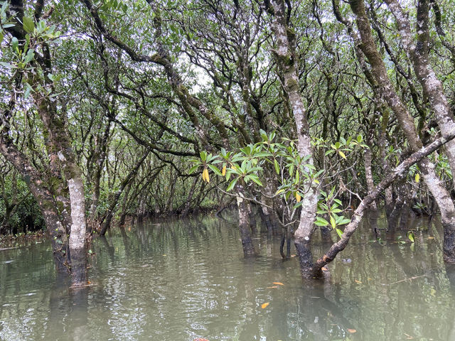 ܂ȂƁAԂ肻ł
_}O[u