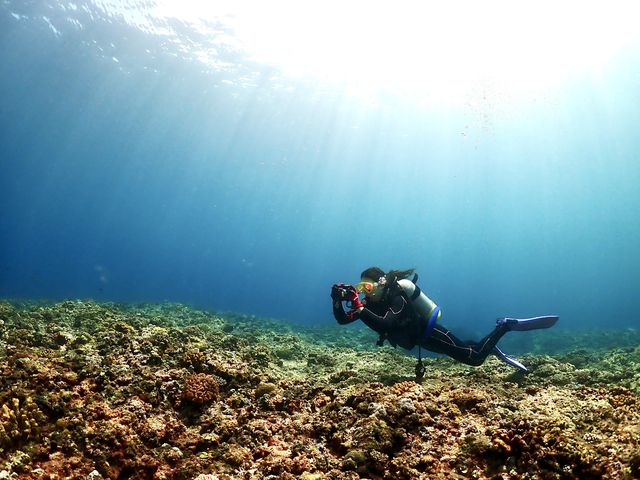 �����J������100���ȏ�ʐ^���B���Ă܂����B��
�Ō�Ɏʐ^��iPhone�Ɉڂ��Ă���܂��B_BLUE TABBY