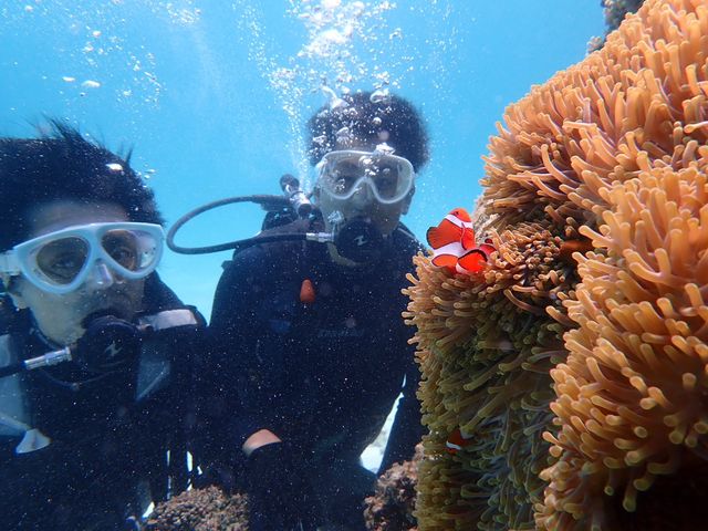 �j��_�u���[���O�[���Ί_��