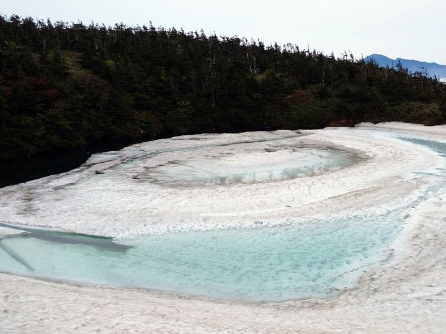 2023�N�̃h���S���A�C_������