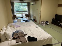 �u�[����̐쎡����ւ̓��e�ʐ^1